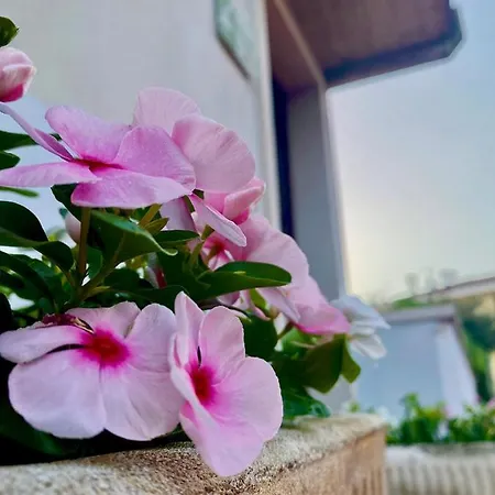 Casa Rachele Apartment *