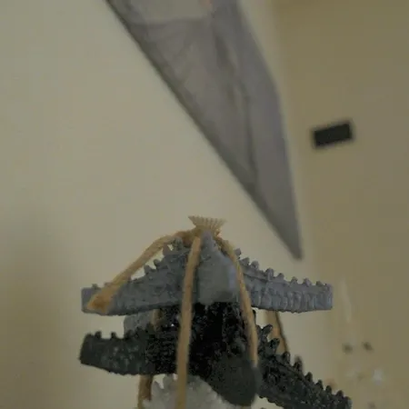 Casa Rachele Apartment Bardolino